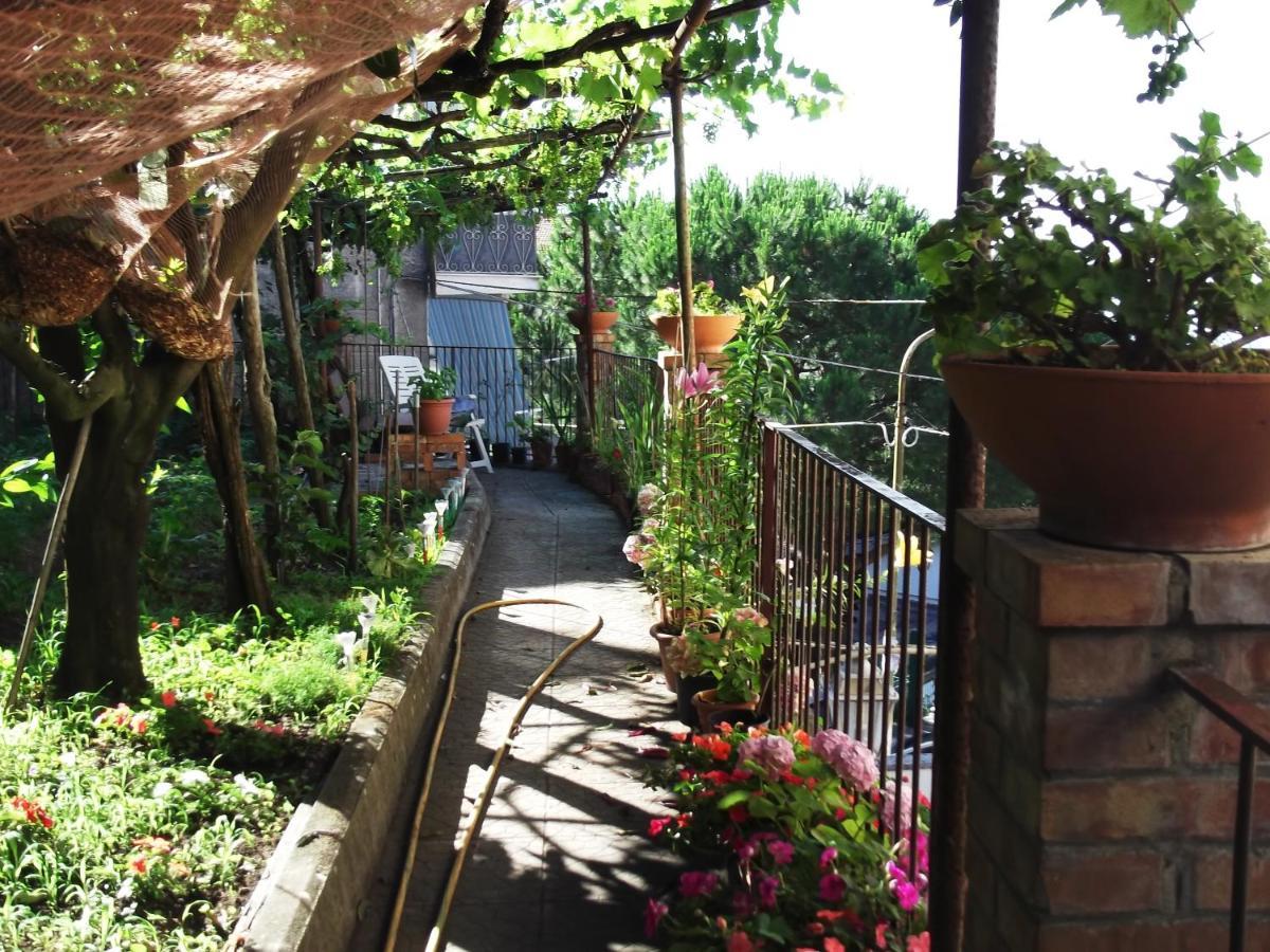 Le Mimose Βίλα Vietri Εξωτερικό φωτογραφία