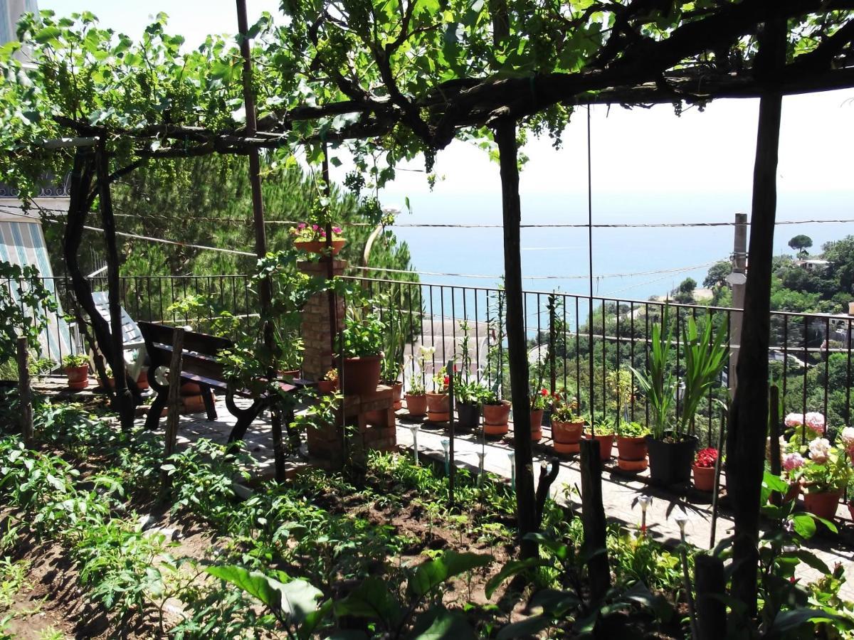 Le Mimose Βίλα Vietri Εξωτερικό φωτογραφία