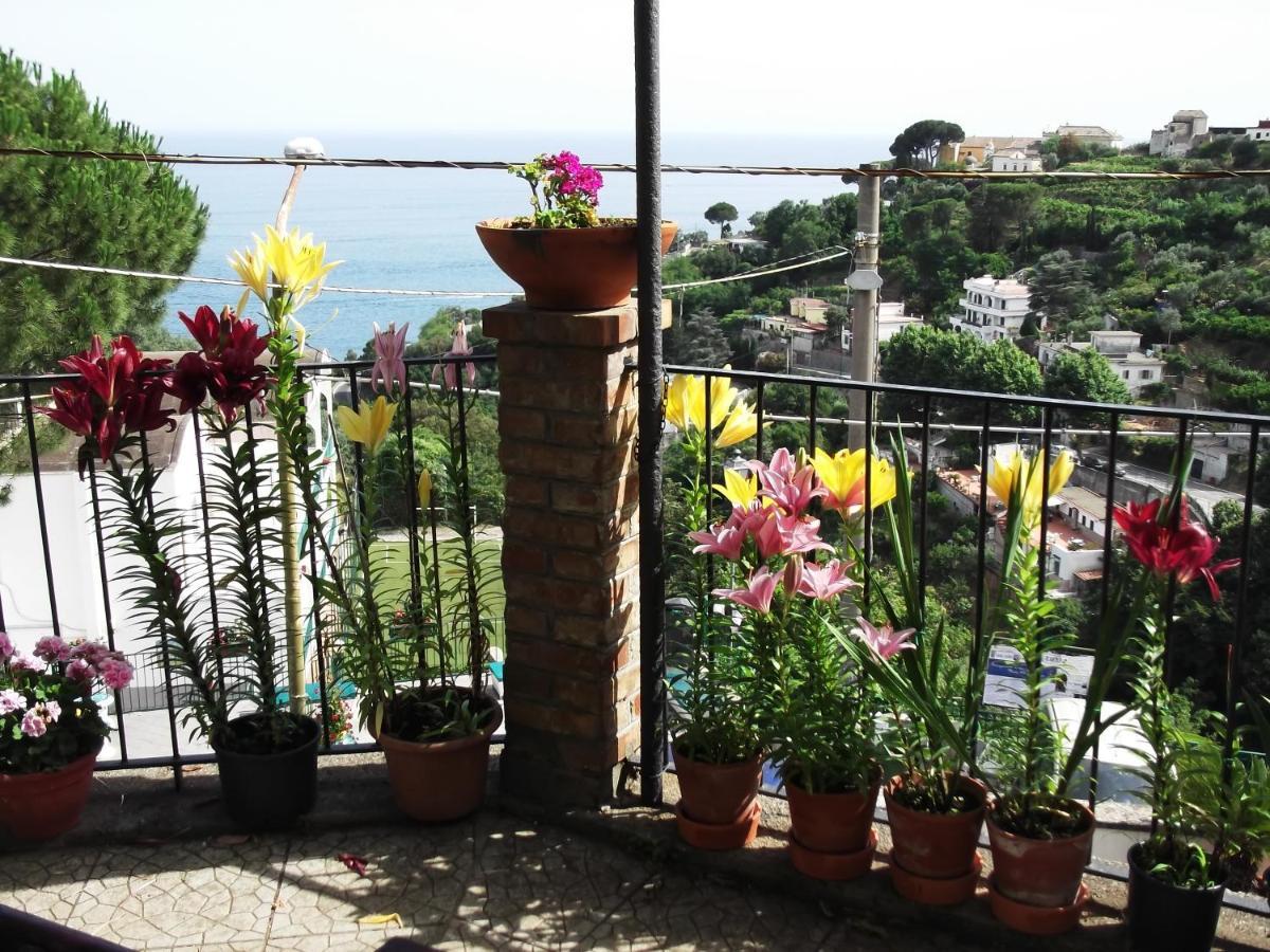 Le Mimose Βίλα Vietri Εξωτερικό φωτογραφία