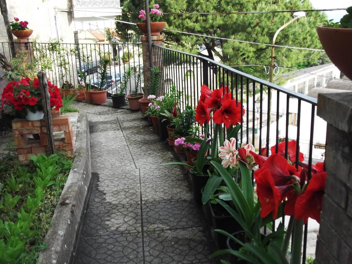 Le Mimose Βίλα Vietri Εξωτερικό φωτογραφία