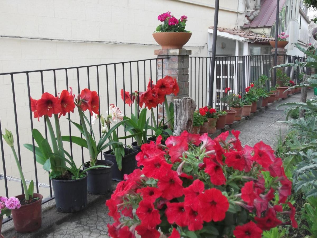Le Mimose Βίλα Vietri Εξωτερικό φωτογραφία