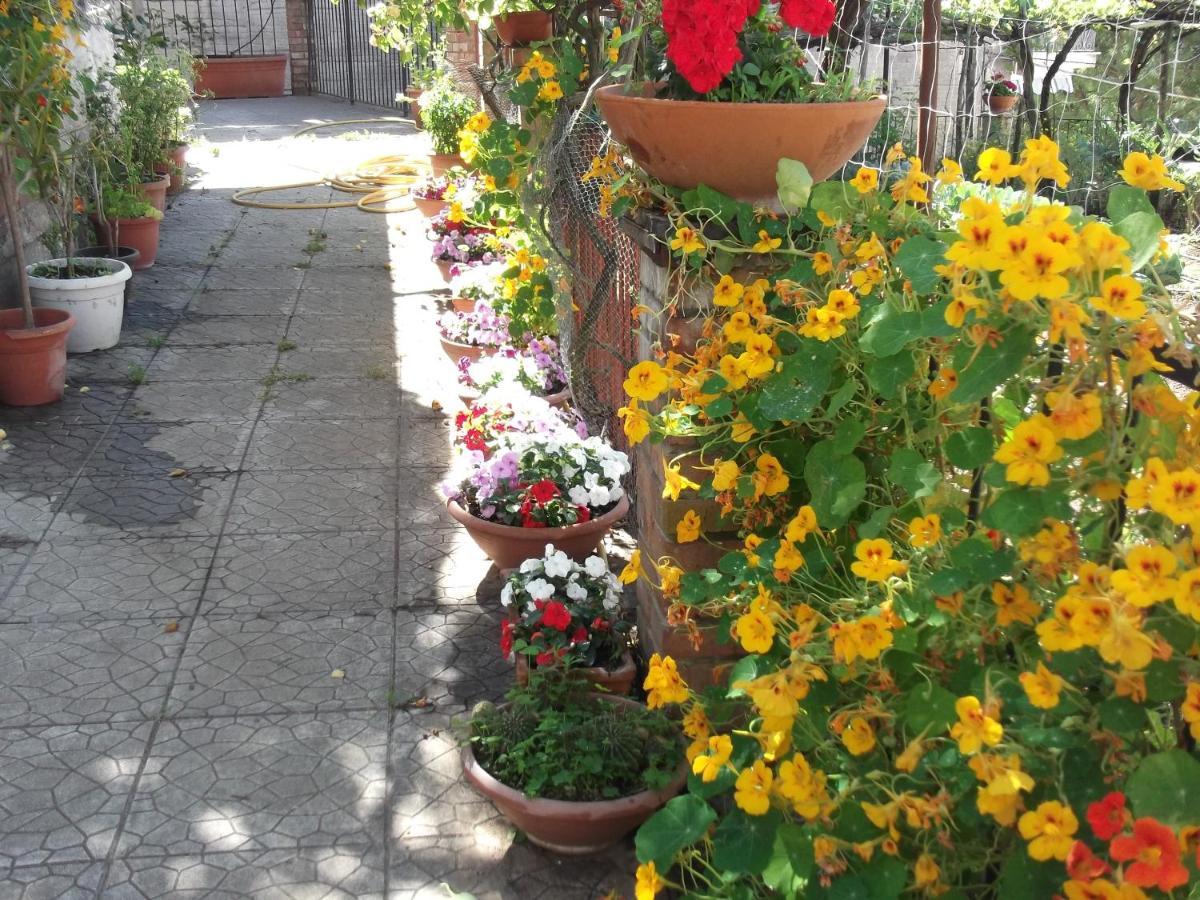 Le Mimose Βίλα Vietri Εξωτερικό φωτογραφία
