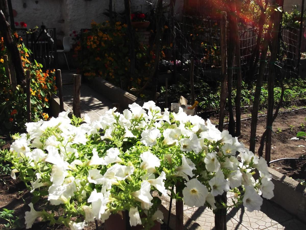 Le Mimose Βίλα Vietri Εξωτερικό φωτογραφία