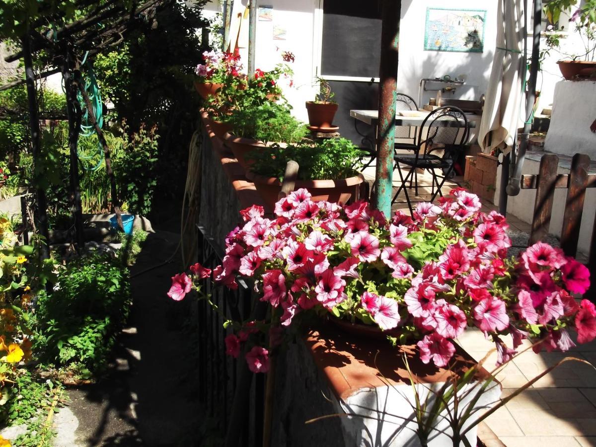 Le Mimose Βίλα Vietri Εξωτερικό φωτογραφία