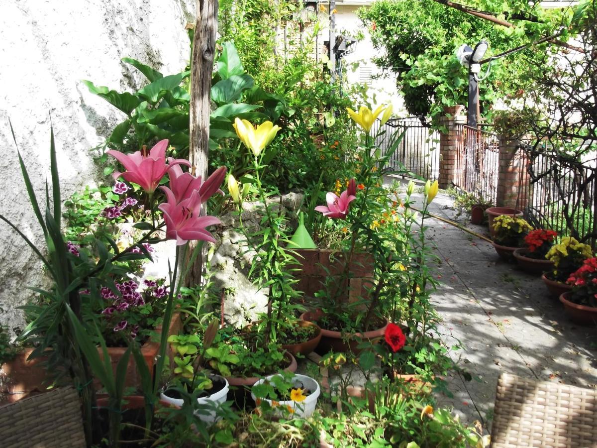 Le Mimose Βίλα Vietri Εξωτερικό φωτογραφία