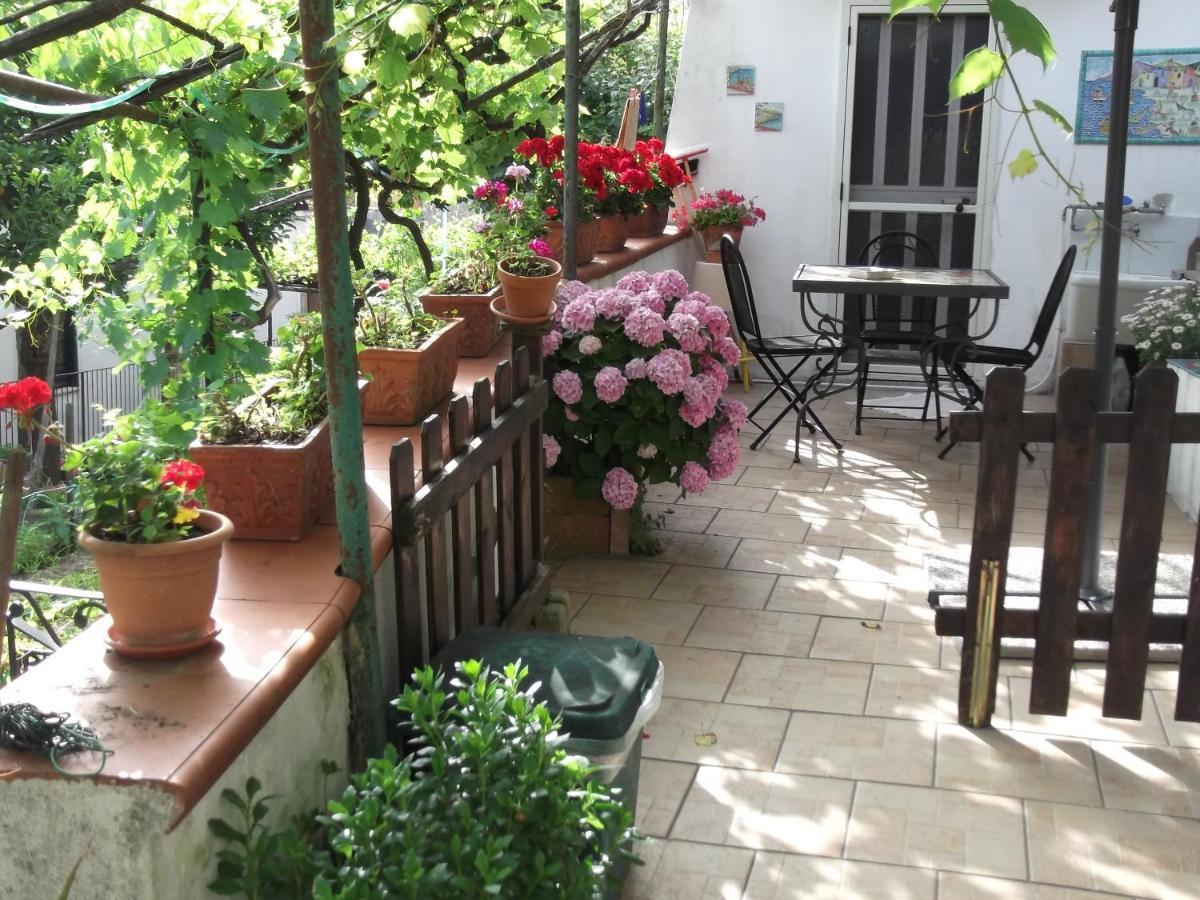 Le Mimose Βίλα Vietri Εξωτερικό φωτογραφία
