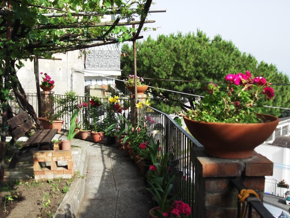 Le Mimose Βίλα Vietri Εξωτερικό φωτογραφία