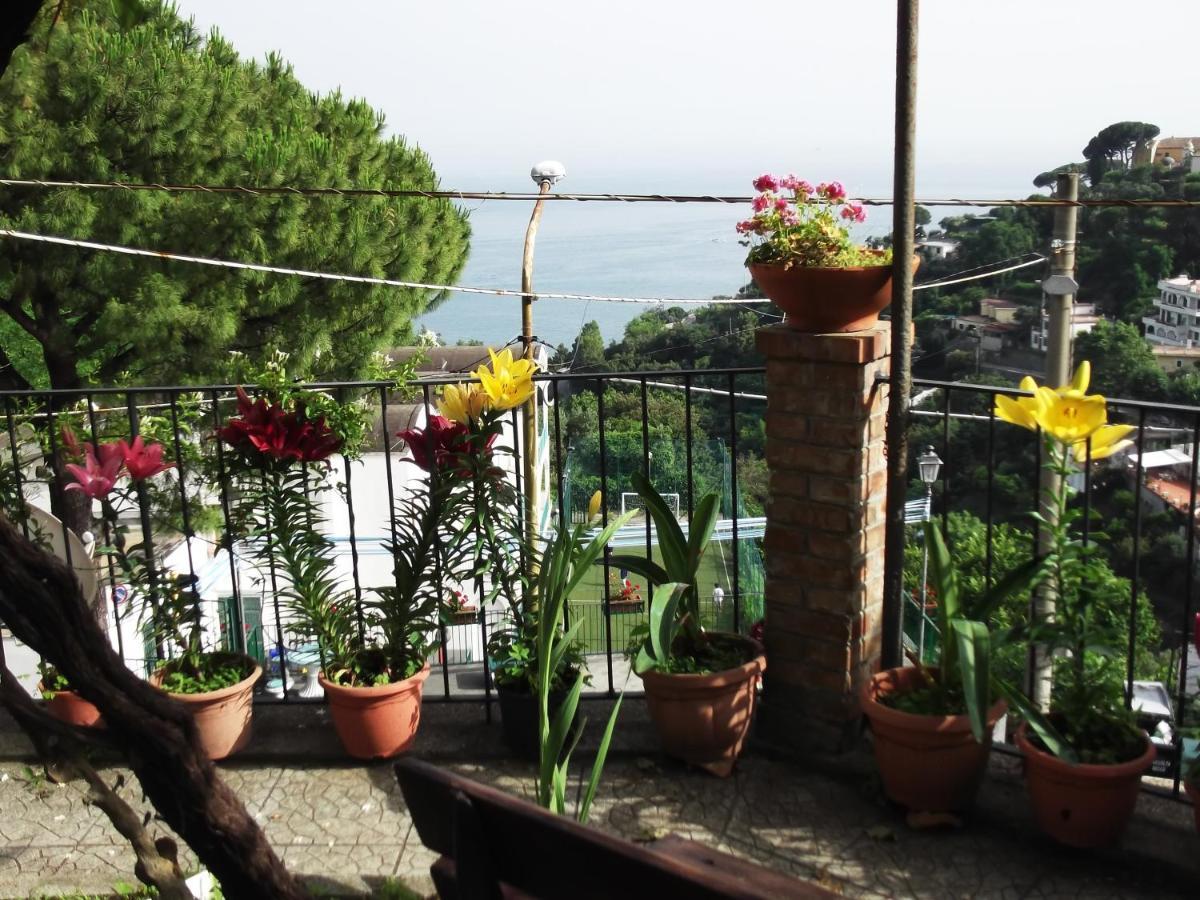 Le Mimose Βίλα Vietri Εξωτερικό φωτογραφία