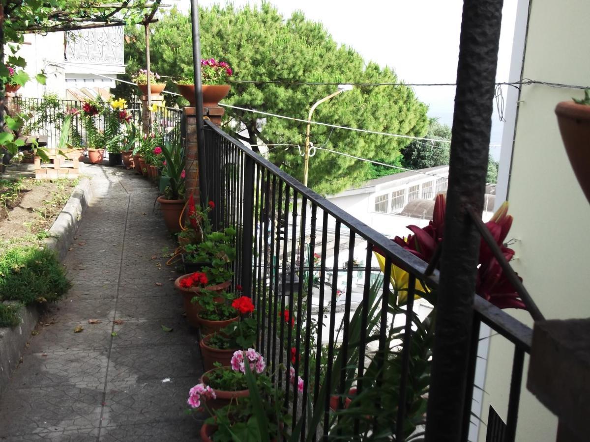 Le Mimose Βίλα Vietri Εξωτερικό φωτογραφία