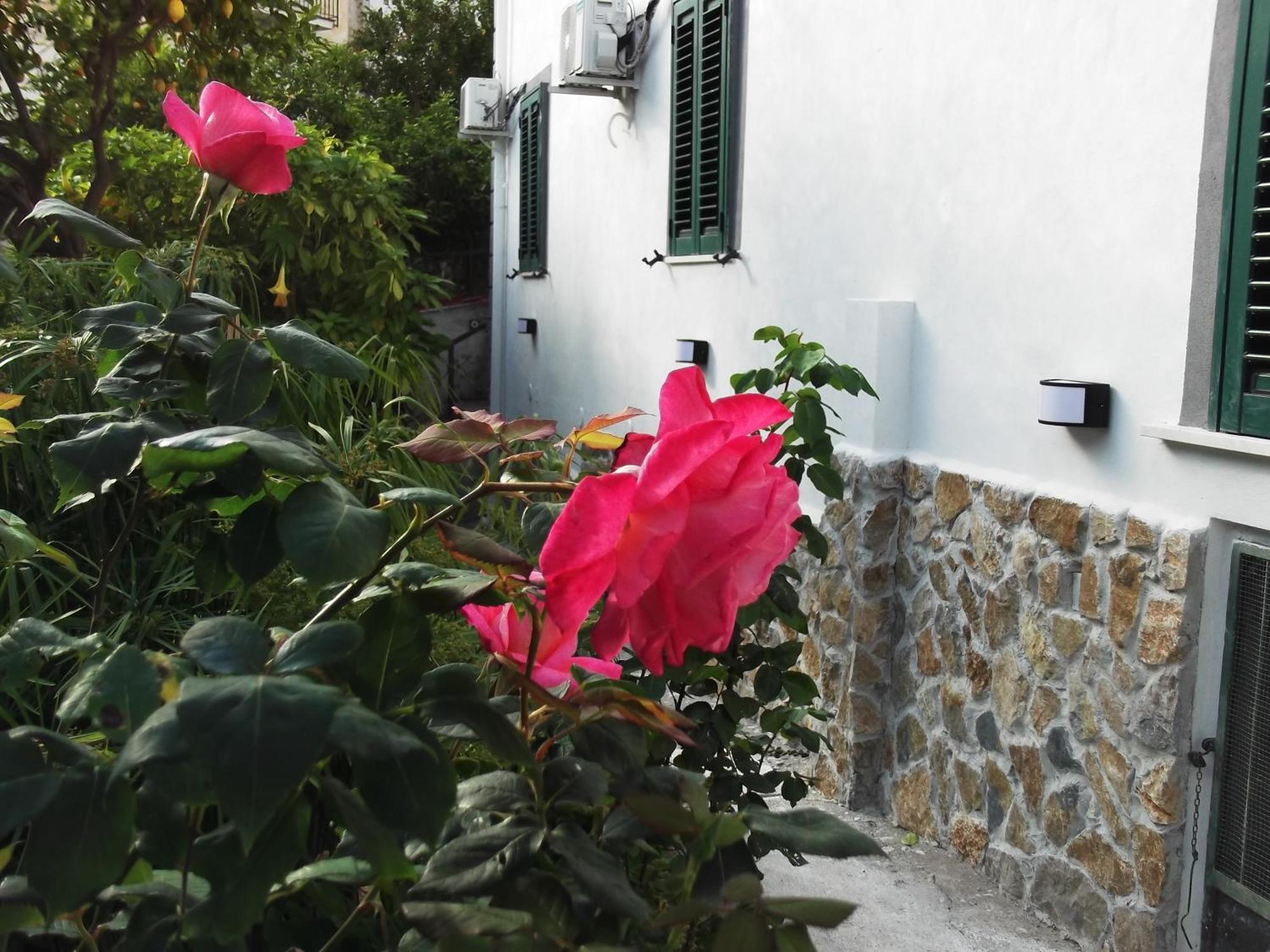 Le Mimose Βίλα Vietri Εξωτερικό φωτογραφία