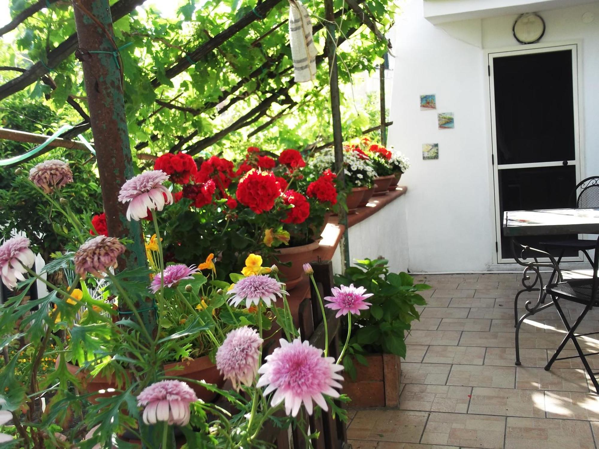 Le Mimose Βίλα Vietri Εξωτερικό φωτογραφία