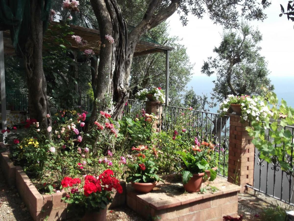 Le Mimose Βίλα Vietri Εξωτερικό φωτογραφία