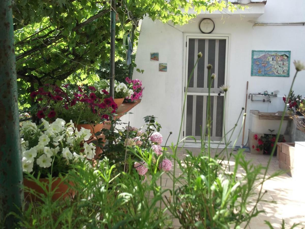Le Mimose Βίλα Vietri Εξωτερικό φωτογραφία