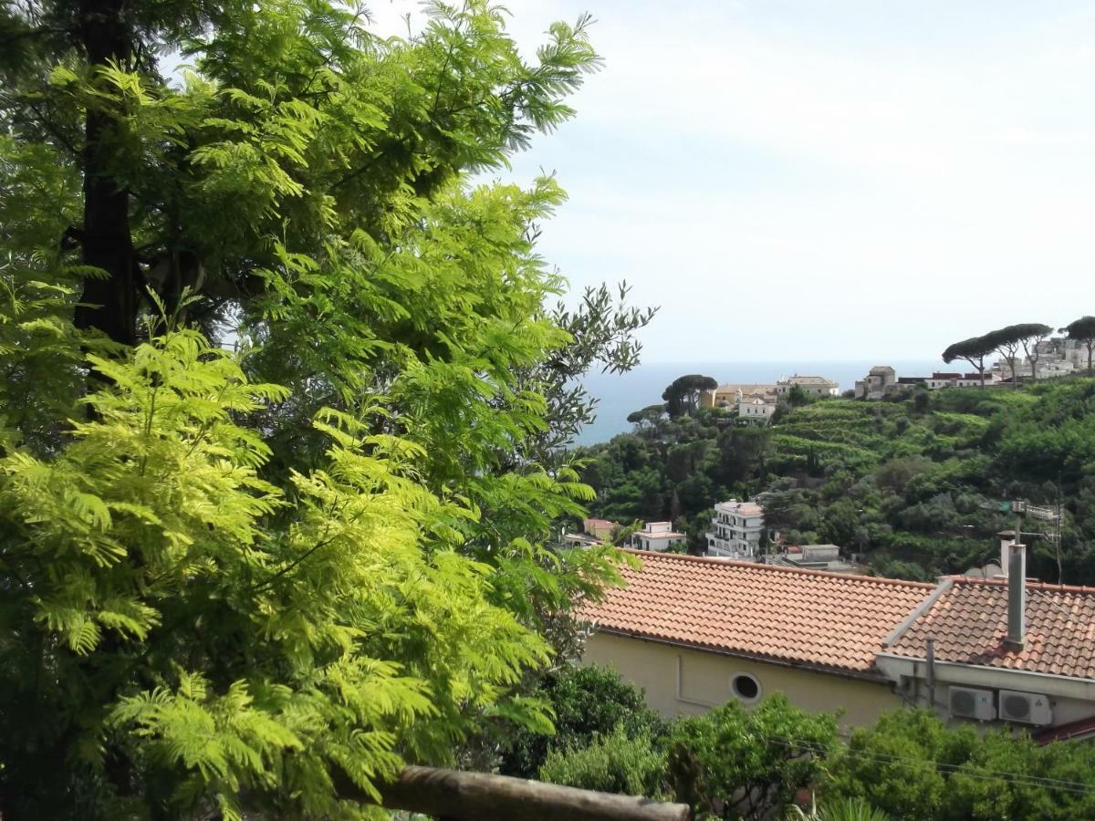 Le Mimose Βίλα Vietri Εξωτερικό φωτογραφία