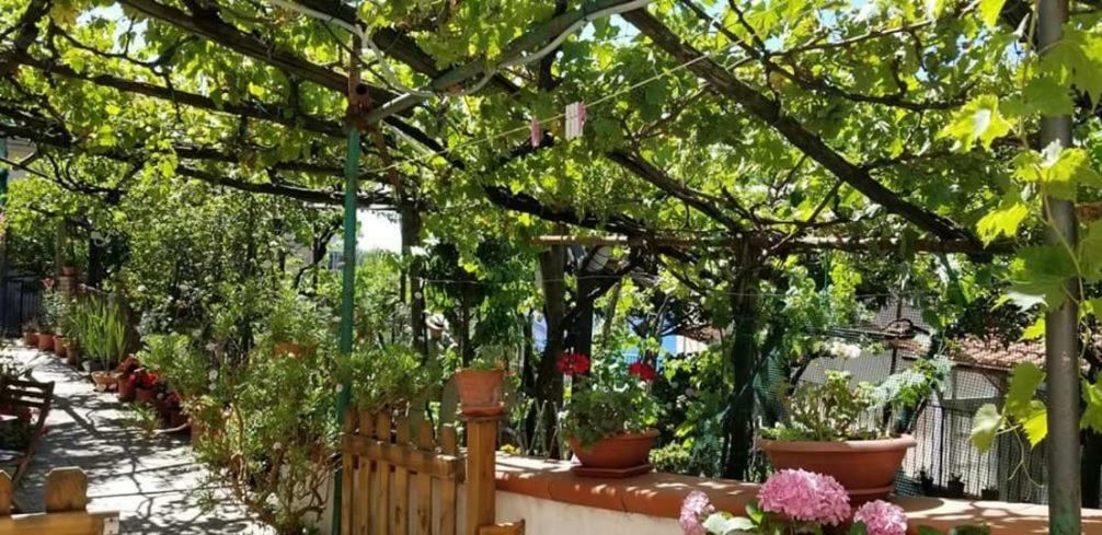 Le Mimose Βίλα Vietri Εξωτερικό φωτογραφία